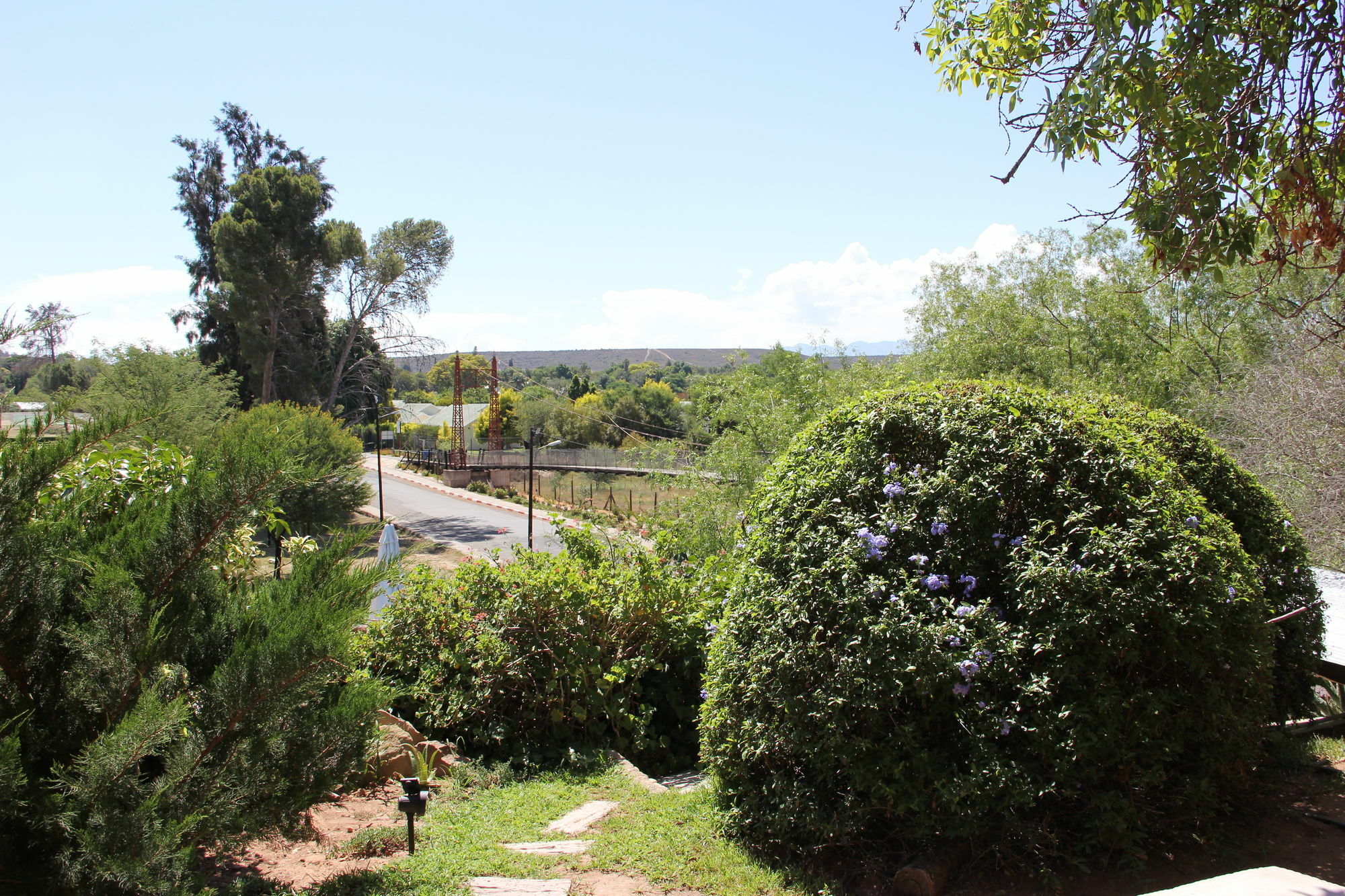 Gumtree Guest House Oudtshoorn Exterior photo